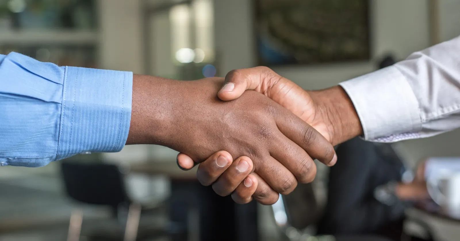 Establishing cooperation between Netlify and Bravelab