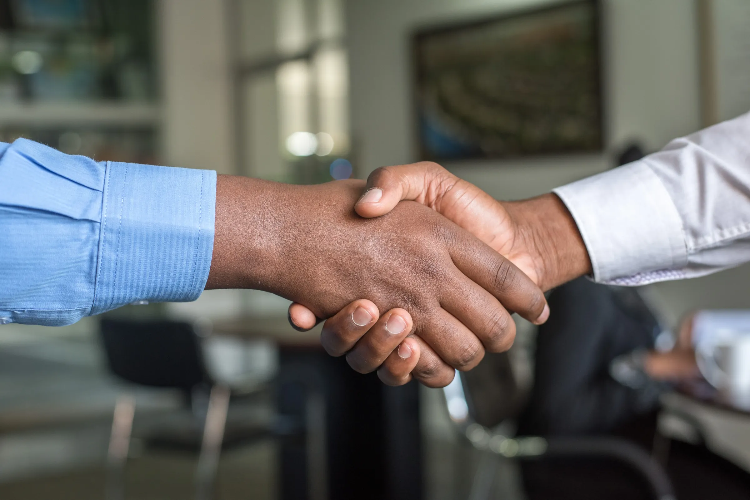 Establishing cooperation between Netlify and Bravelab